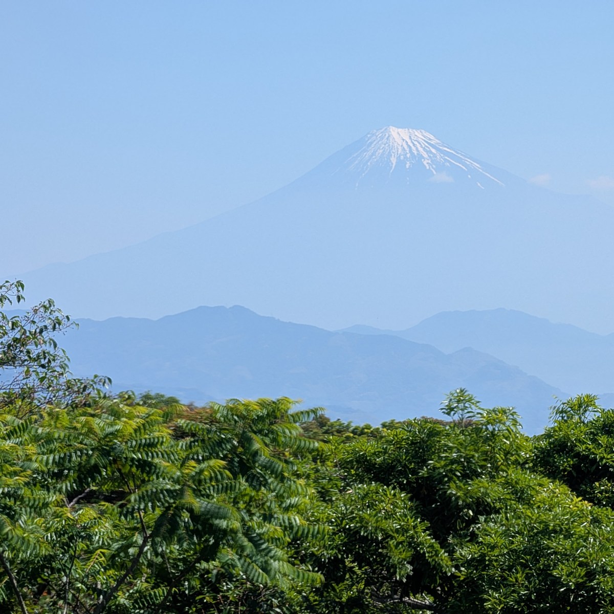 From Hekiunkan to Bergen: A year of Suiō-ryū Iai&nbsp;Kenpō